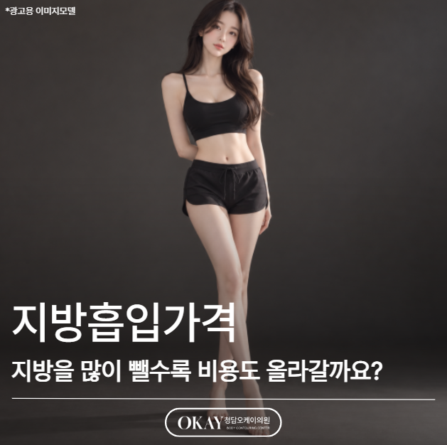 지방흡입가격, 지방을 많이 뺄수록 비용도 올라갈까요? 관련 이미지 1