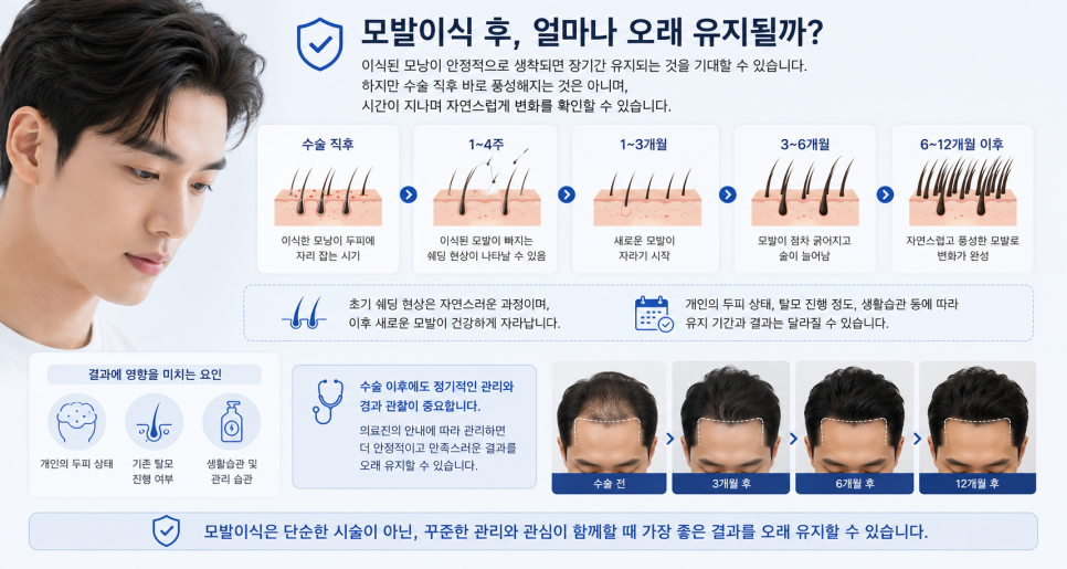 M자헤어라인모발이식 후 바로 출근 가능할까? 통증부터 회복기간까지 꼭 알아야 할 정보 총정리 관련 이미지 8