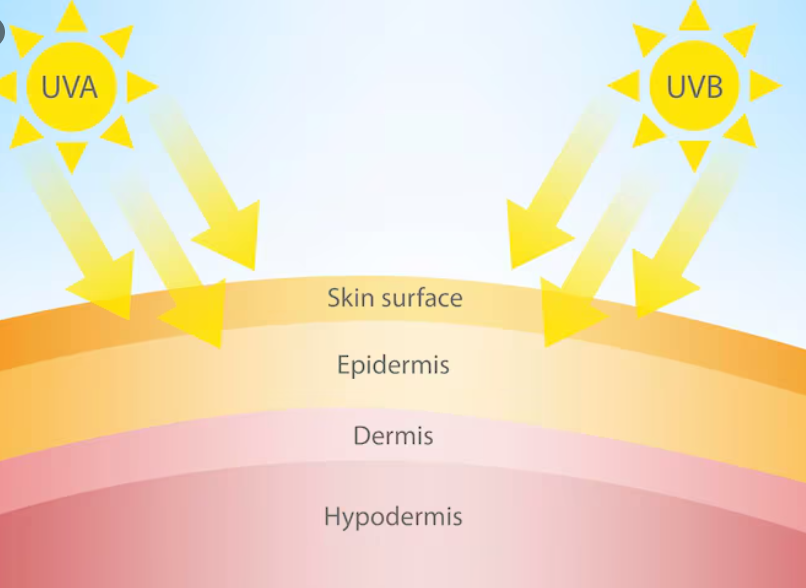 Liposuction Scars: From Removal Surgery and Costs to Management Methods image 11