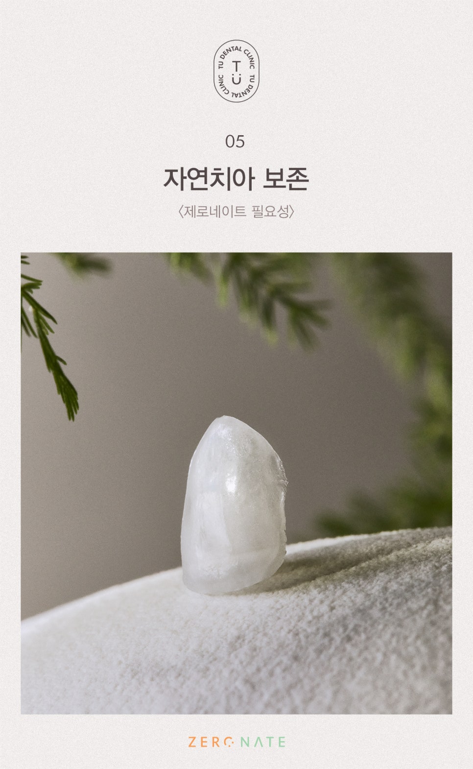 티유치과 제로네이트 가격 설명드립니다 [TU치과] 관련 이미지 6