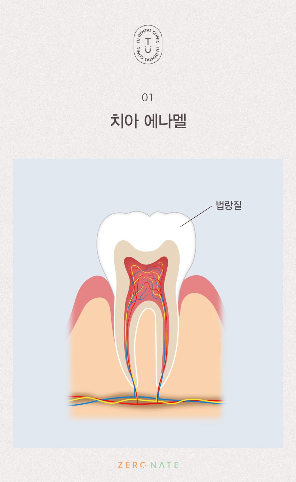 티유치과 선택적 치아 성형 [TU치과] 관련 이미지 2