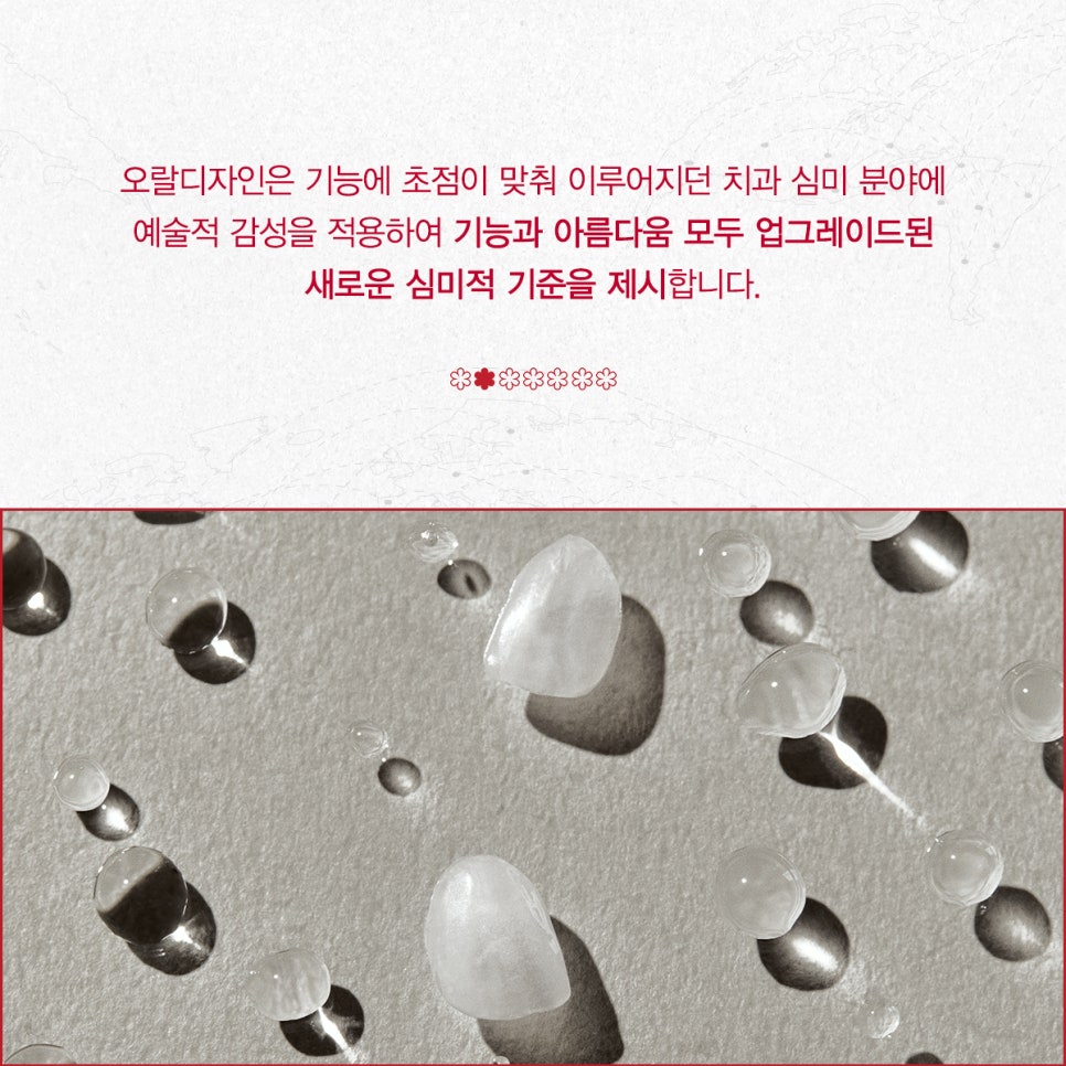 티유치과 1월 매거진, 치과 심미계의 미슐랭 3스타 관련 이미지 2