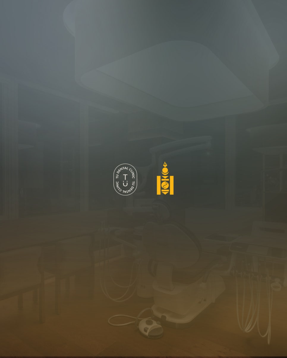 티유치과 2025 몽골-한국 스타트업 비즈니스 포럼 참여 관련 이미지 8