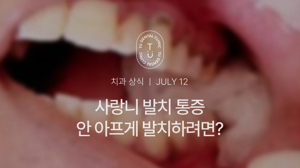 사랑니 안 아프게 발치하는 방법 알려드립니다, 티유치과[TU치과] 관련 이미지 1