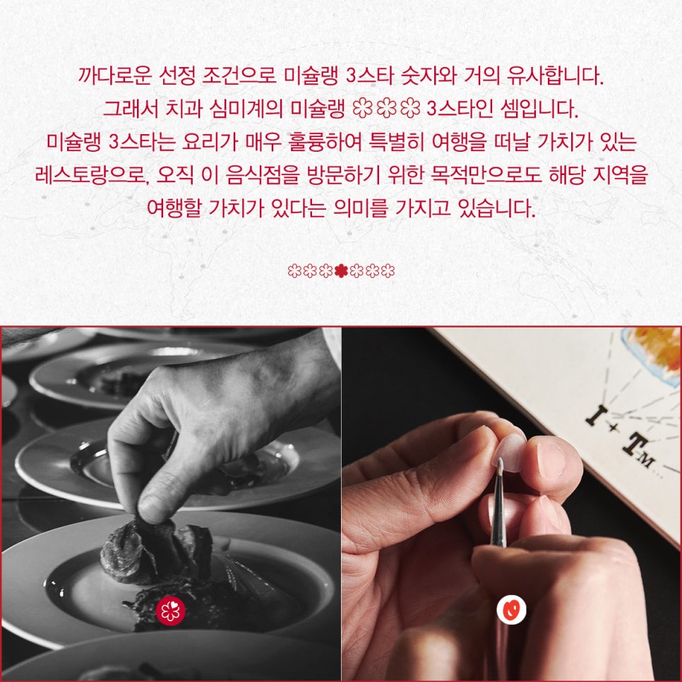 티유치과 1월 매거진, 치과 심미계의 미슐랭 3스타 관련 이미지 4