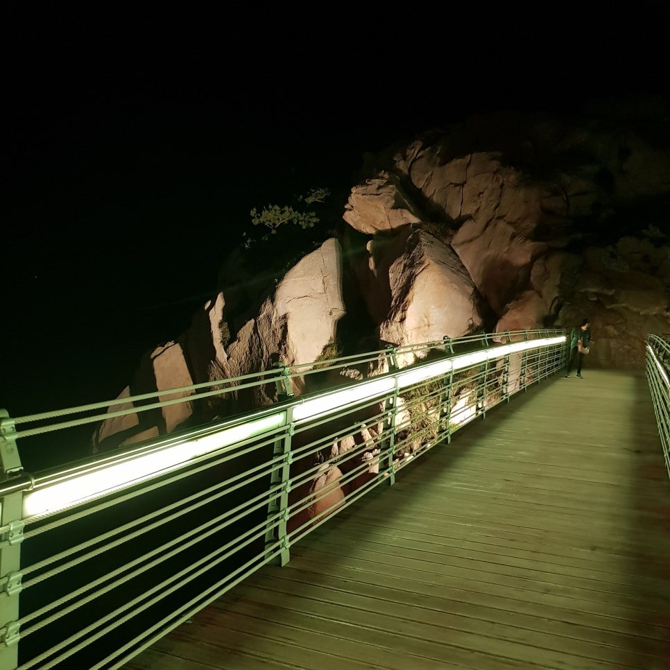 울산 가볼 만한 곳_대왕암공원 야경_마시그래이(masigray) 관련 이미지 29