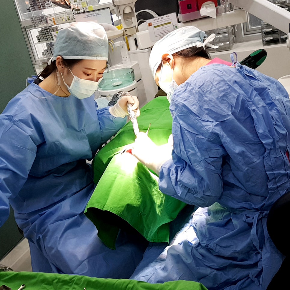 임플란트염증 시술부작용 걱정없이 관련 이미지 6