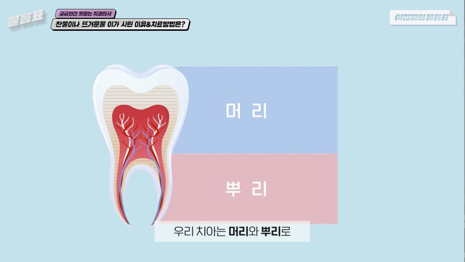 찬물 뜨거운물 이시림 원인! 이가 시린이유 아름드리치과 관련 이미지 2