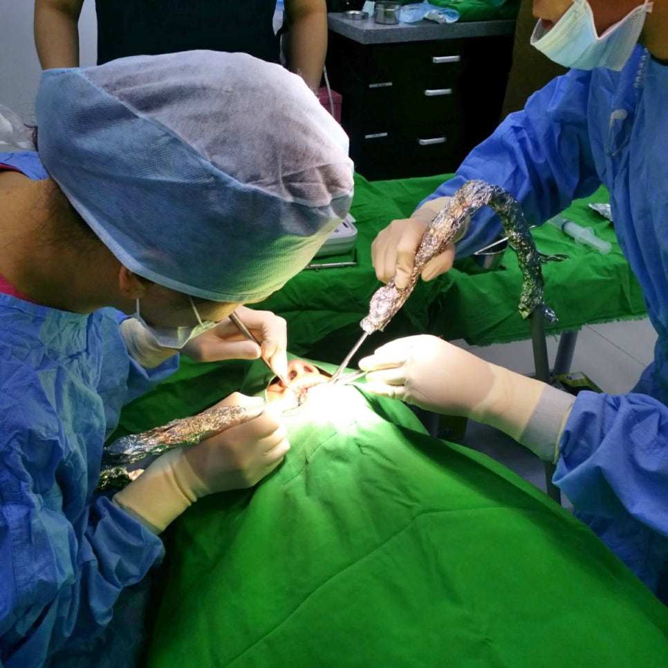 앞니 임플란트_뼈이식_신논현역 치과_아름드리 치과 관련 이미지 7