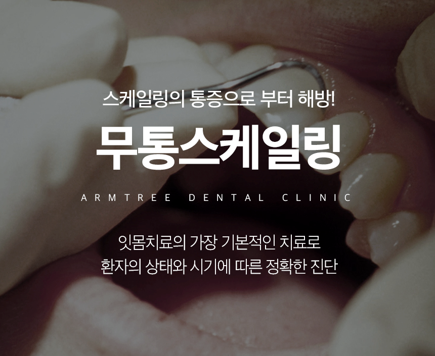 무통스케일링 안아픈치과 아름드리 관련 이미지 1