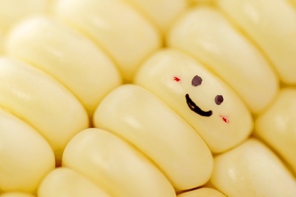 Designing for your smile -아름드리 치과- 관련 이미지 2