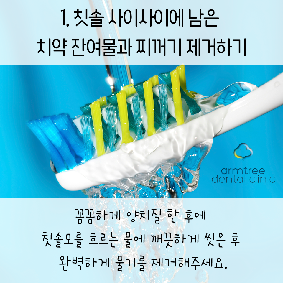 아름드리 치아상식-깨끗한 칫솔 관리법 관련 이미지 3
