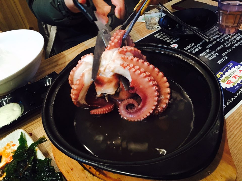 쏭쏭문어 _문어숙회+문어 라면 [신논현 퇴근길] 관련 이미지 6