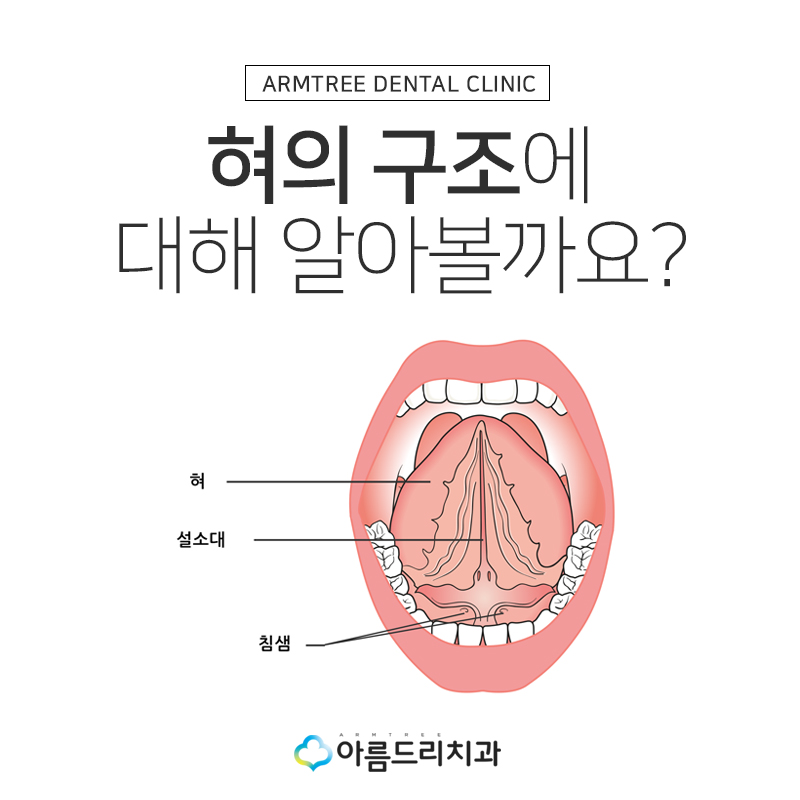 성인 설소대수술 비용 리얼후기 관련 이미지 4