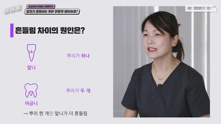 갑자기 흔들리는 치아 어떻게? 치주인대 아름드리치과 이현정의물음표 관련 이미지 16