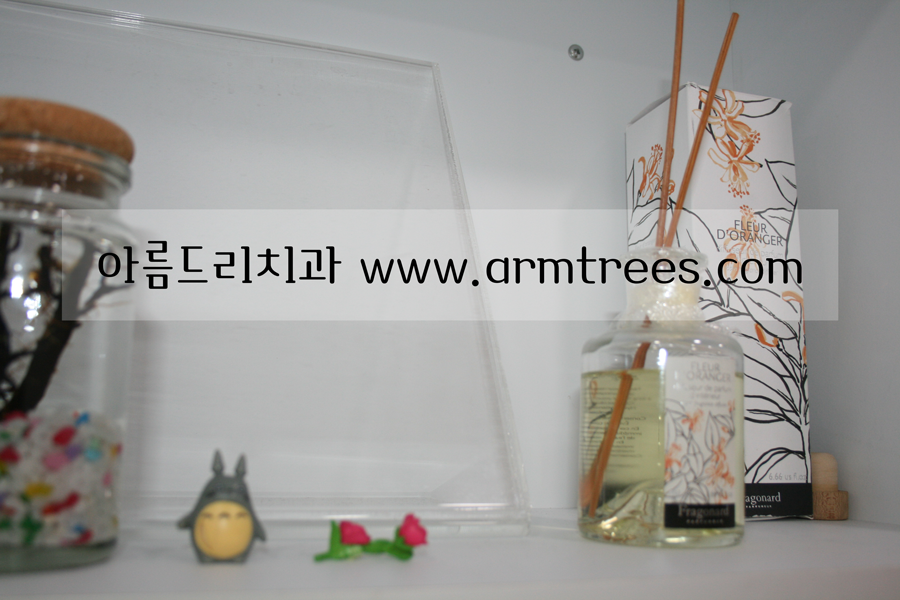 홈 향수 디퓨저, 룸 프레그런스 디퓨저, 프라고나르 fragonard 디퓨저 향기로운 아름드리 치과 관련 이미지 7