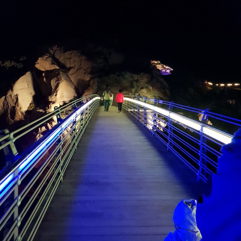 울산 가볼 만한 곳_대왕암공원 야경_마시그래이(masigray) 관련 이미지 27