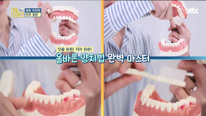 인사돌 이가탄 효과와 잇몸약, 치과에서 바라보다! 관련 이미지 12