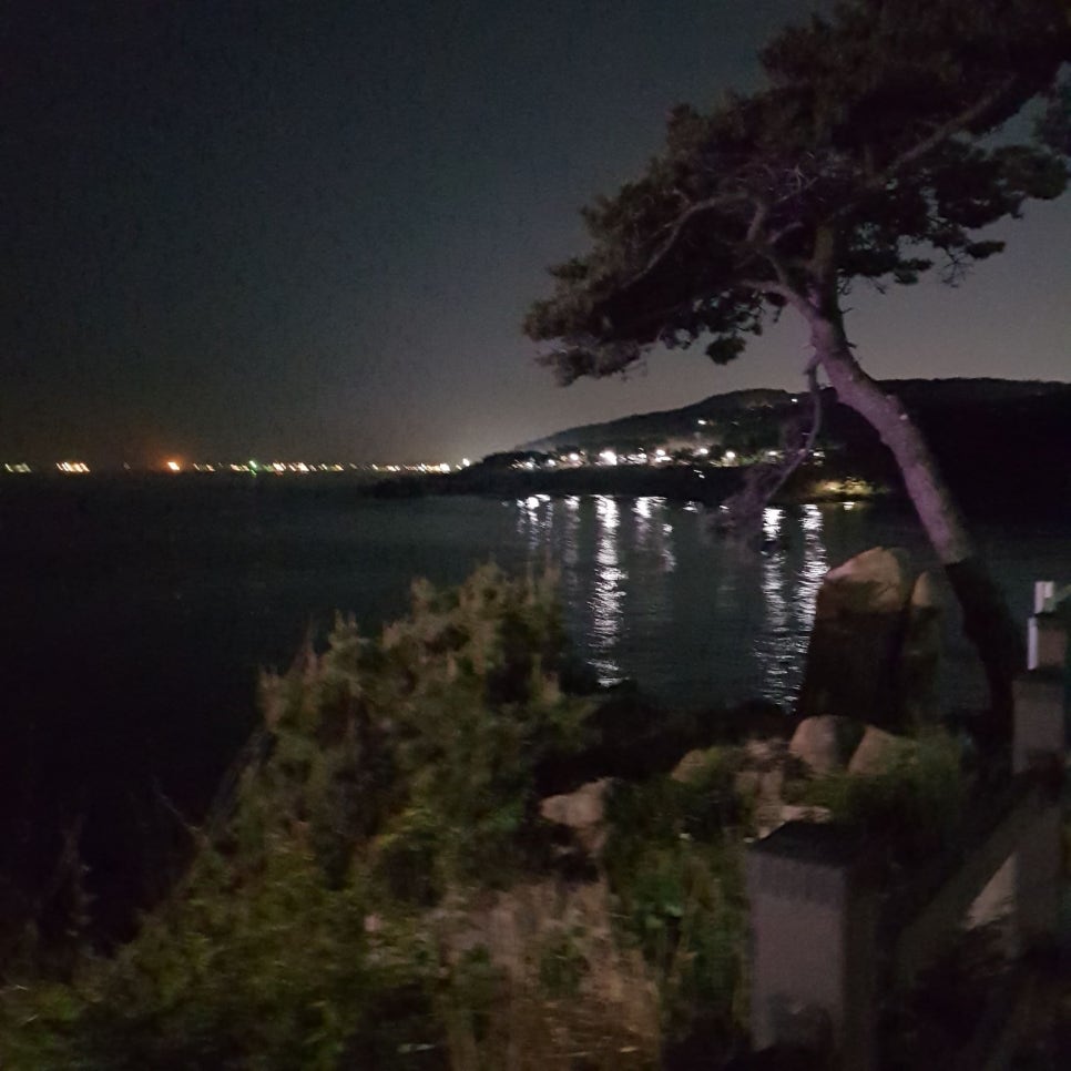 울산 가볼 만한 곳_대왕암공원 야경_마시그래이(masigray) 관련 이미지 20