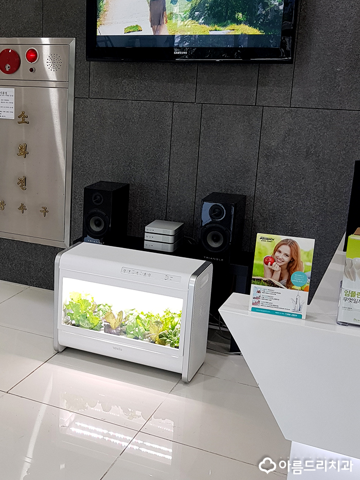 교원 웰스팜 식물재배기 건강해진 아름드리 관련 이미지 5