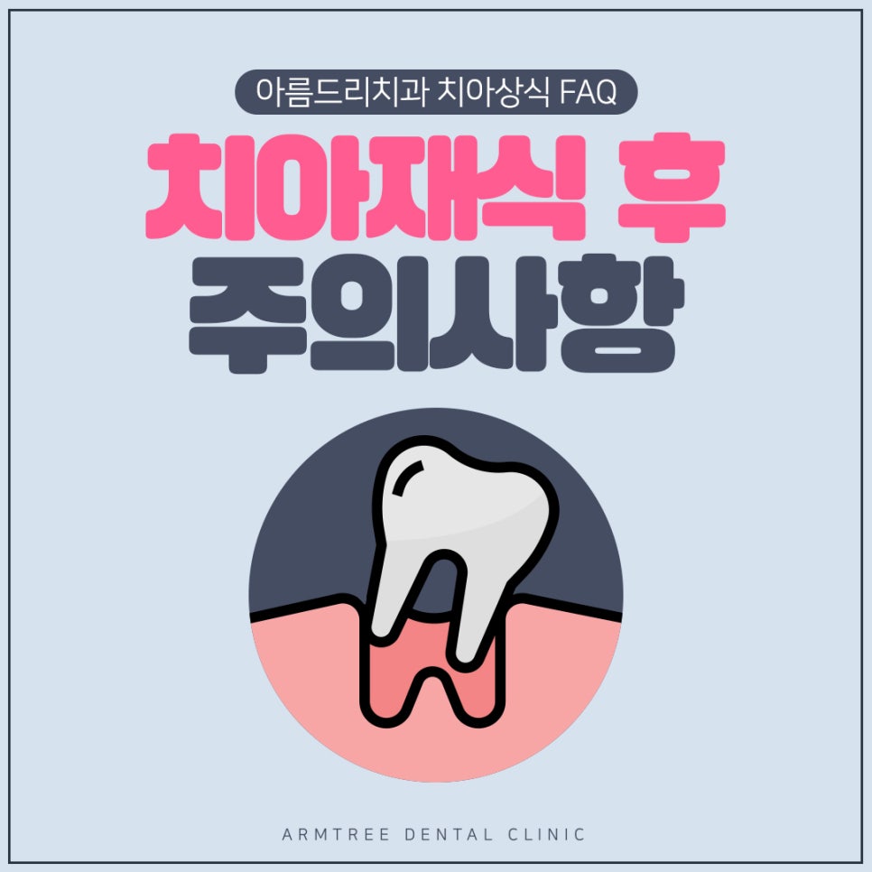 치아재식술 후 주의사항 자연치아살리기 관련 이미지 1