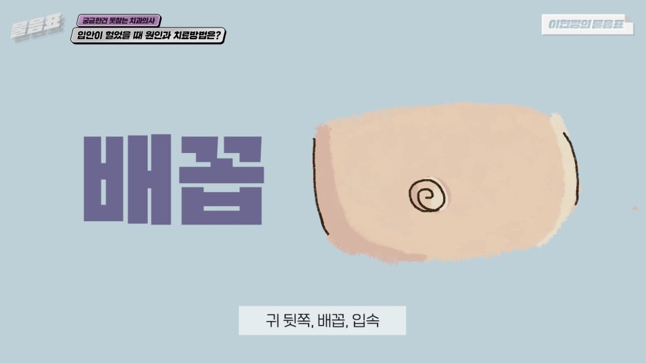 입안이 헐었을때 해결방법 이현정의물음표 관련 이미지 9