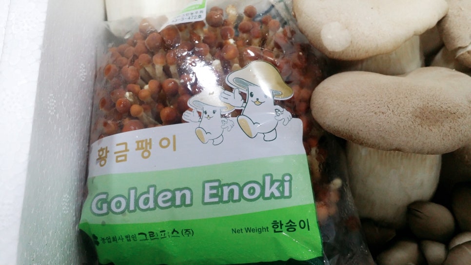 소아당뇨협회 김중수 이사님 감사합니다. 관련 이미지 6