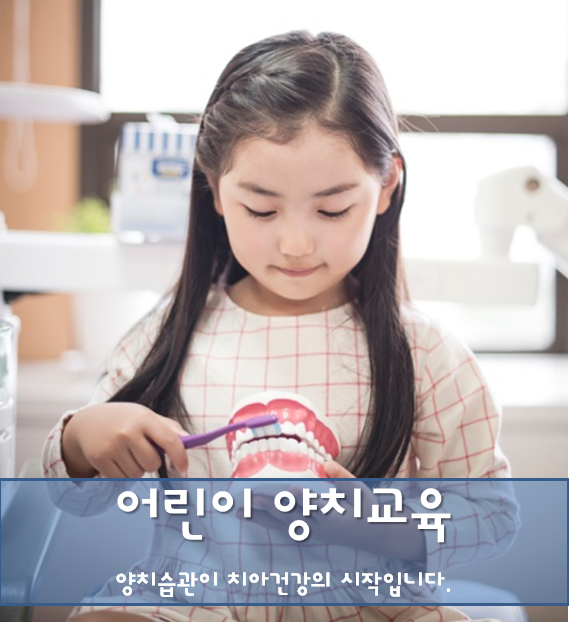 [신논현치과]어린이양치교육_구강검진_유아충치_충치예방 관련 이미지 9