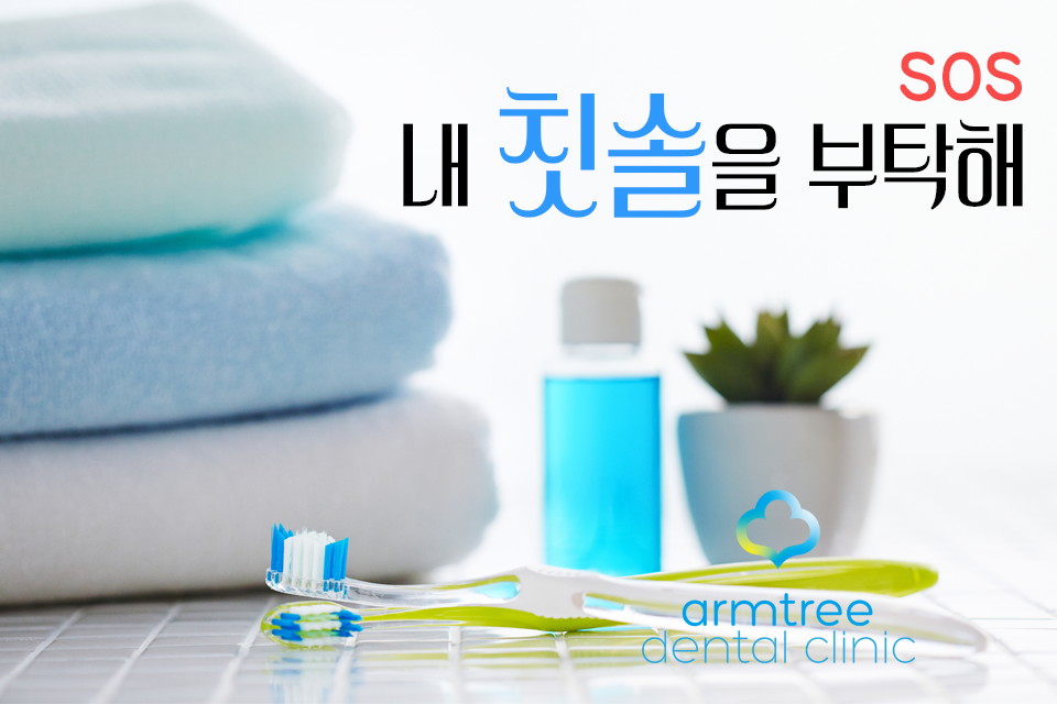 아름드리 치아상식-깨끗한 칫솔 관리법 관련 이미지 1
