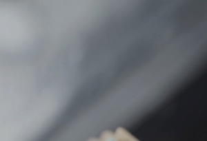 신논현라미네이트 고민만 하고 있다면 관련 이미지 17