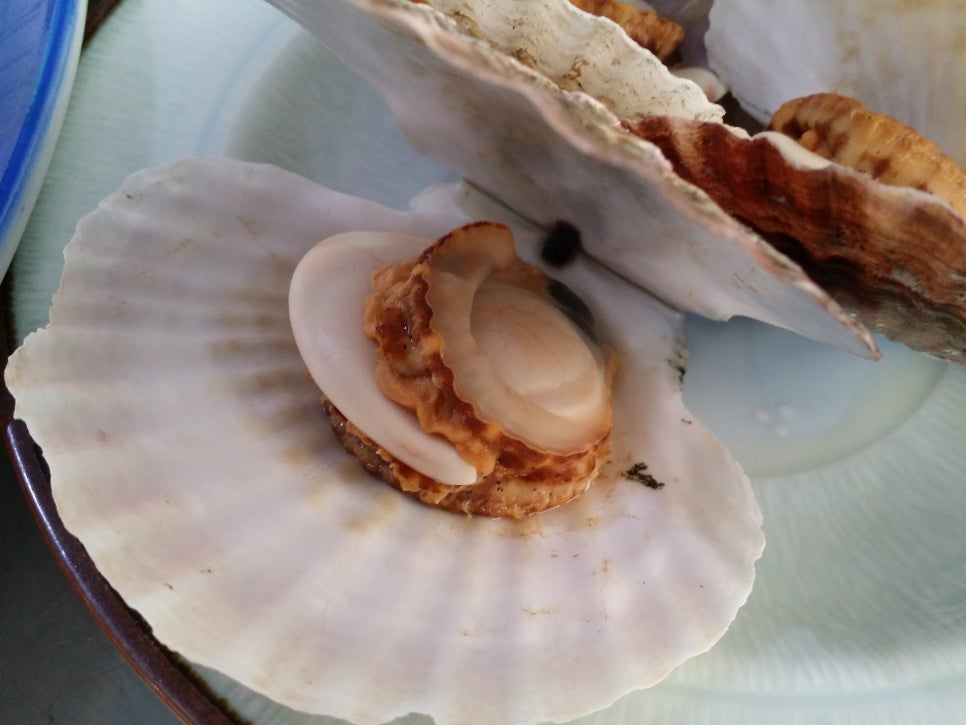 천안 횟집_별이 빛나는 밤에 [한상 푸짐하게 바다를 느끼다] 가성비대박 관련 이미지 17