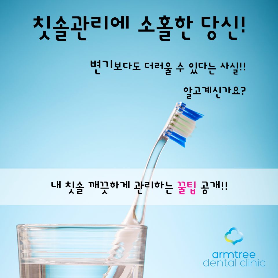 아름드리 치아상식-깨끗한 칫솔 관리법 관련 이미지 2