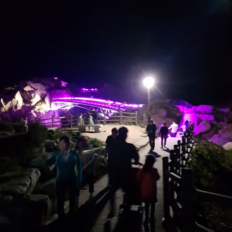 울산 가볼 만한 곳_대왕암공원 야경_마시그래이(masigray) 관련 이미지 18