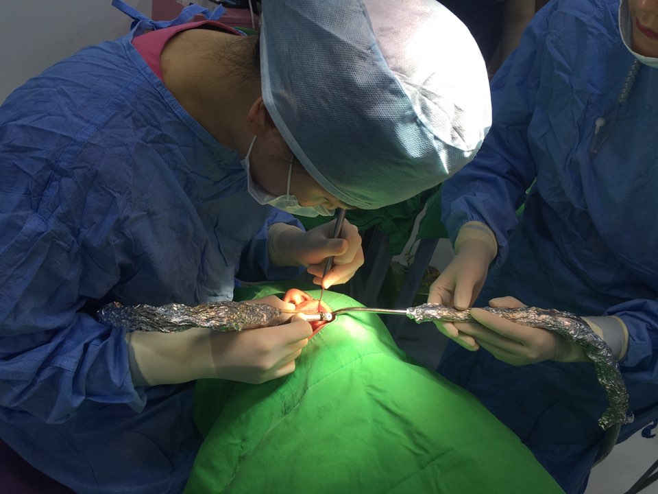 앞니 임플란트_뼈이식_신논현역 치과_아름드리 치과 관련 이미지 13