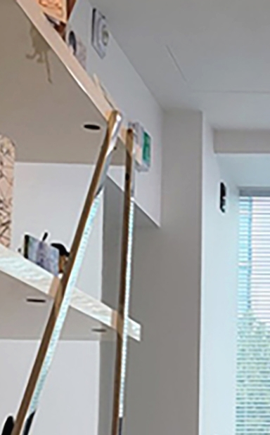 테일러비니어 미리 시착이 가능한 무삭제라미네이트는 관련 이미지 8