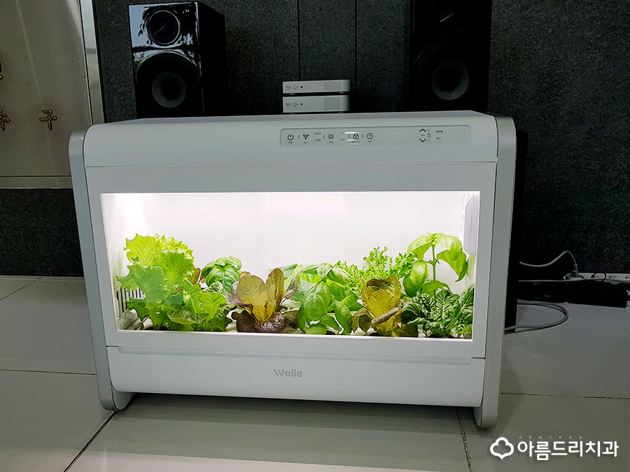 교원 웰스팜 식물재배기 건강해진 아름드리 관련 이미지 6