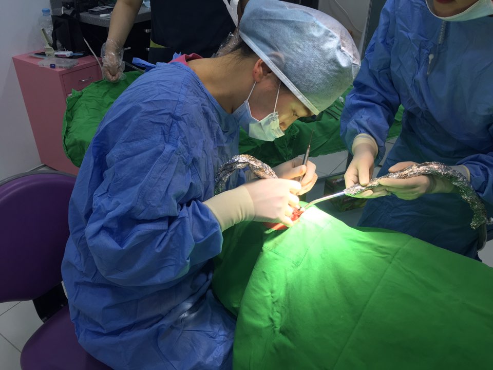 앞니 임플란트_뼈이식_신논현역 치과_아름드리 치과 관련 이미지 16
