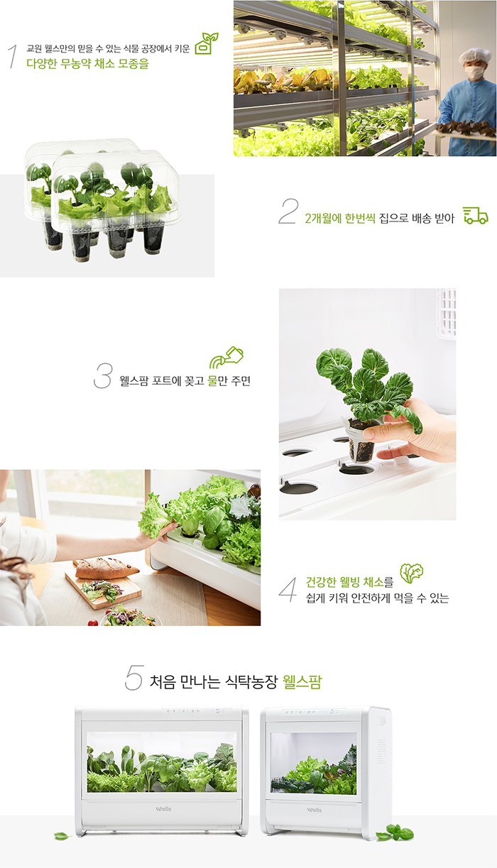 교원 웰스팜 식물재배기 건강해진 아름드리 관련 이미지 3