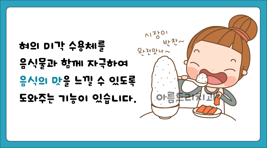 구강건강 지킴이 [ 침의 효능 ] 한국모델협회 칼럼 아름드리 치과 관련 이미지 4