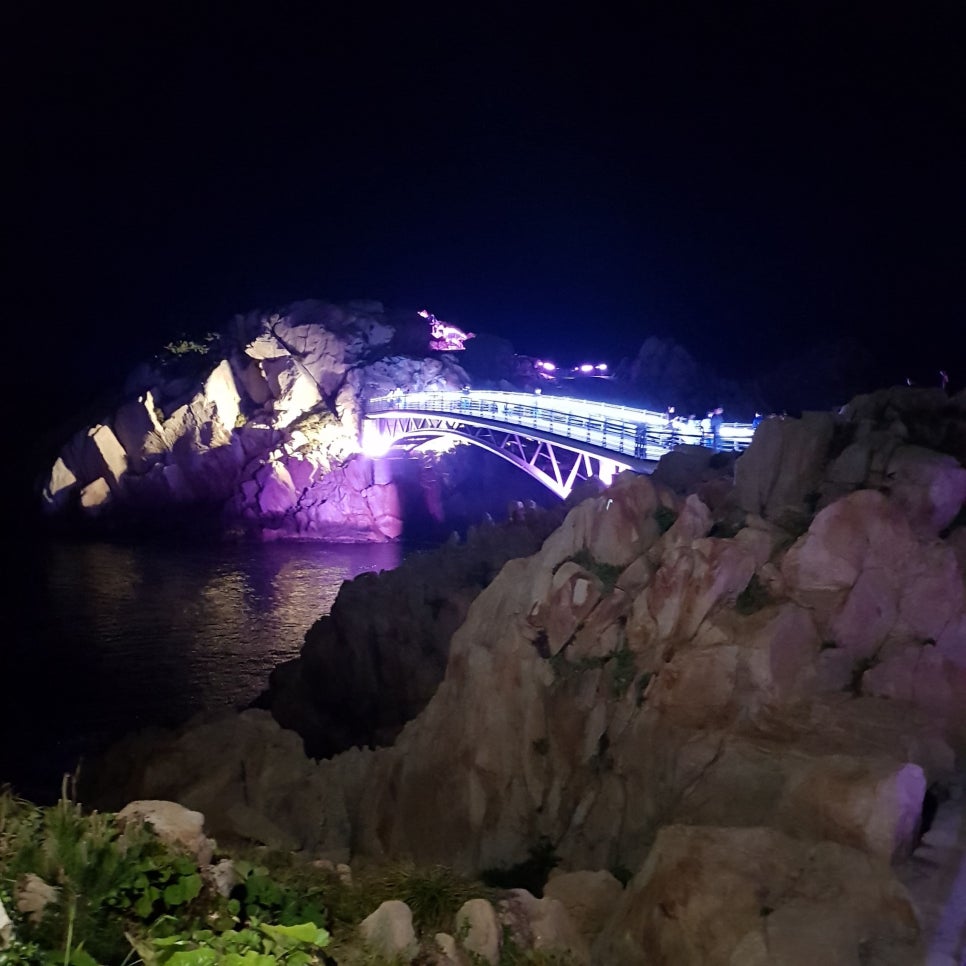울산 가볼 만한 곳_대왕암공원 야경_마시그래이(masigray) 관련 이미지 21