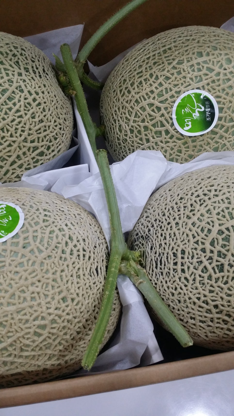 강진석님의 마음 감사합니다. 관련 이미지 3