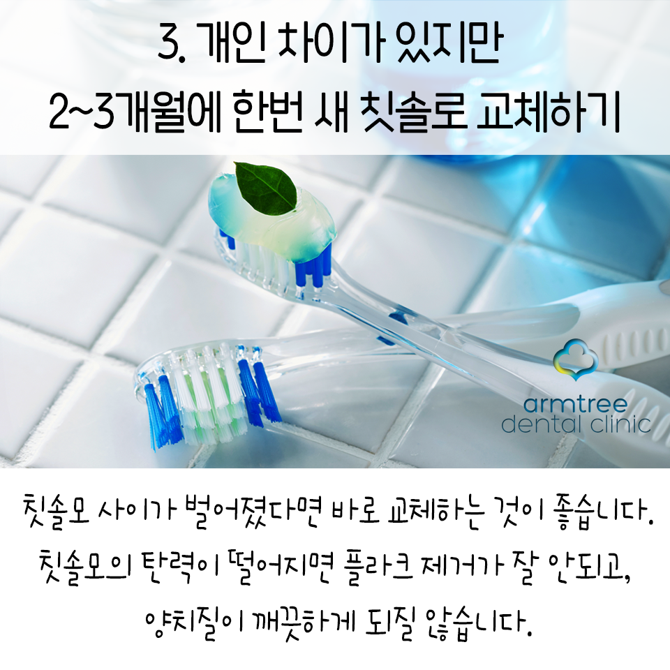 아름드리 치아상식-깨끗한 칫솔 관리법 관련 이미지 5