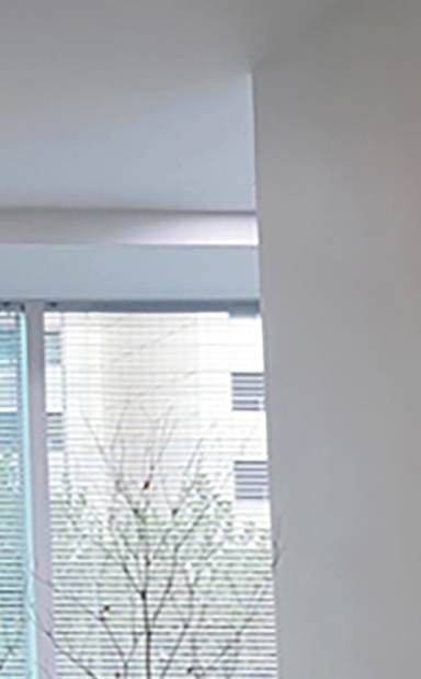 테일러비니어 미리 시착이 가능한 무삭제라미네이트는 관련 이미지 11