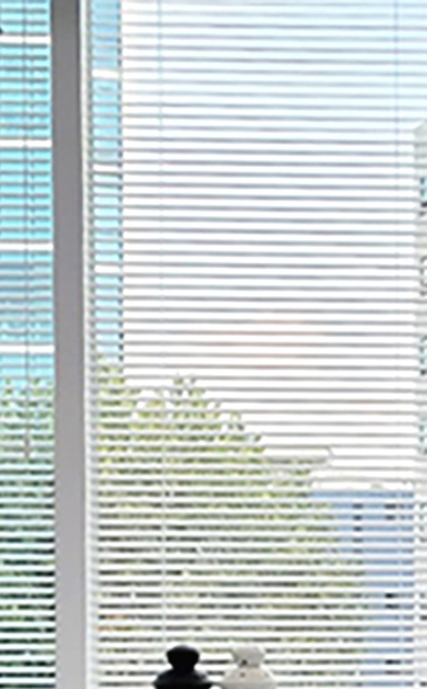 테일러비니어 미리 시착이 가능한 무삭제라미네이트는 관련 이미지 18