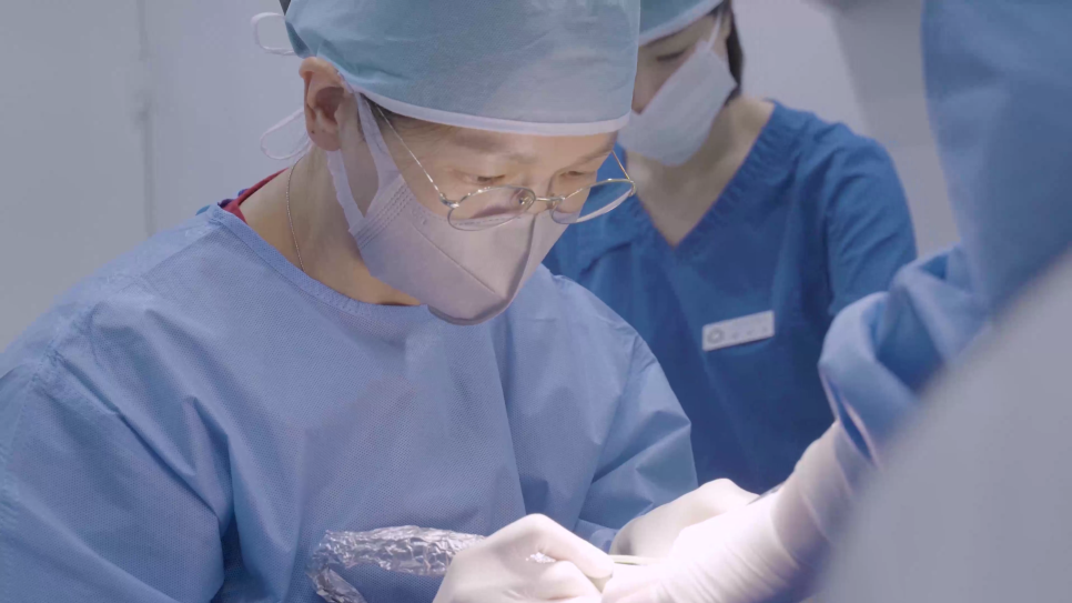 무삭제라미네이트치과 | 선택 전 꼭 알아야 할 5가지 핵심 정보 관련 이미지 15