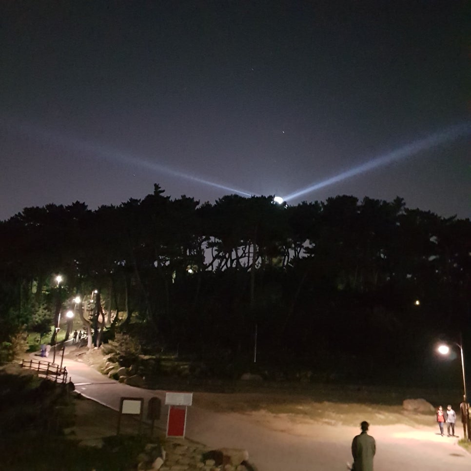 울산 가볼 만한 곳_대왕암공원 야경_마시그래이(masigray) 관련 이미지 31