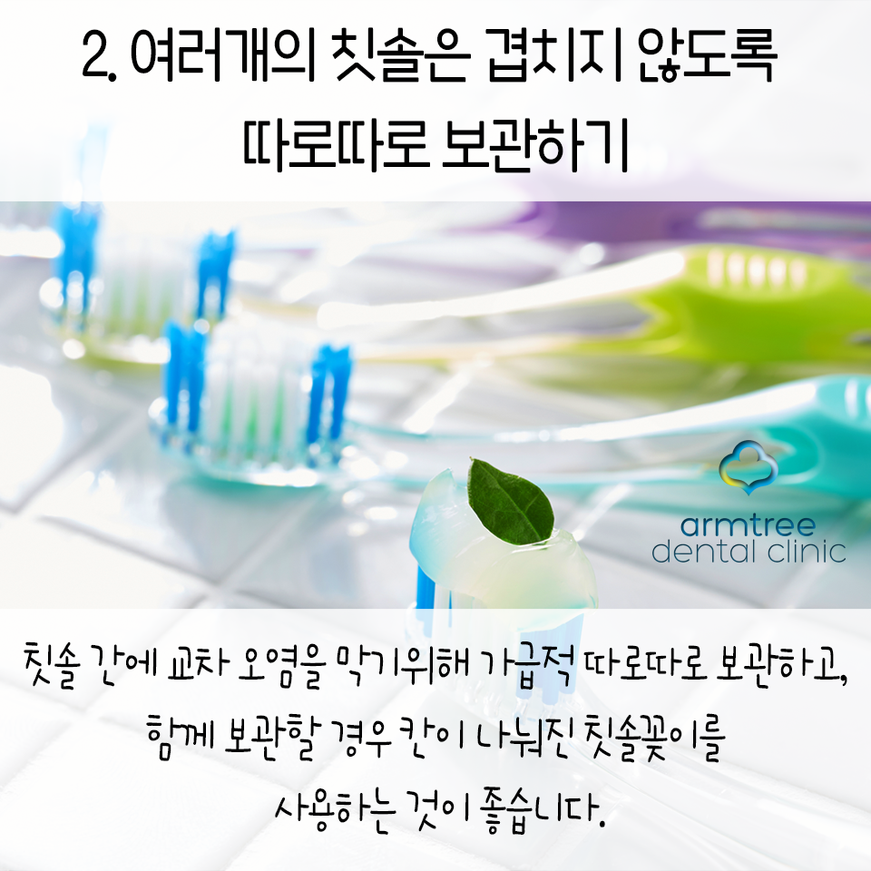 아름드리 치아상식-깨끗한 칫솔 관리법 관련 이미지 4
