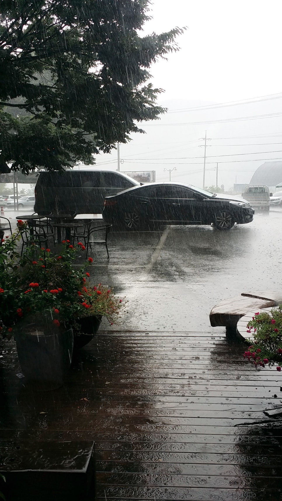 맛 집 탐방) 홍천 양지말 화로구이 관련 이미지 15