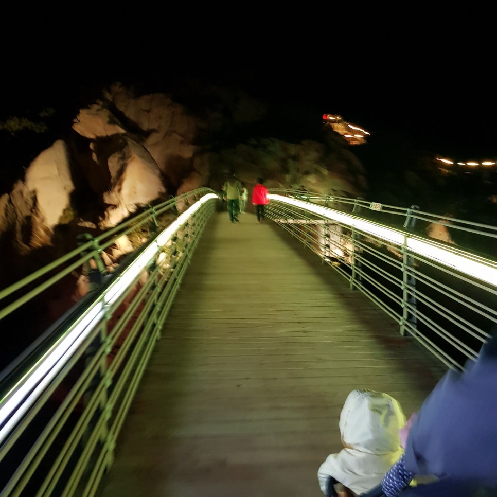 울산 가볼 만한 곳_대왕암공원 야경_마시그래이(masigray) 관련 이미지 28