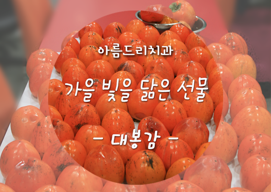 가을 제철 과일- 가을 빛을 닮은 선물 [대봉감] 관련 이미지 4